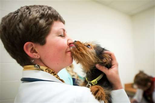 Dogs, like people, need surgery to repair cleft palates