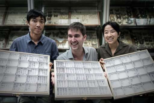 Dr Benoit Guenard (C), Assistant Professor at the HKU School of Biological Sciences, and his team members display ant species at