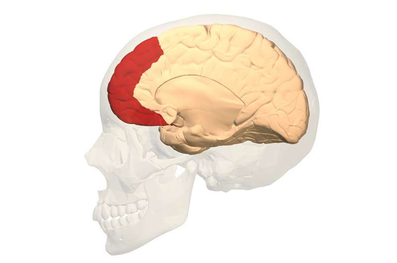 Drexel的脑成像技术为研究帕金森综合征提供了新途径