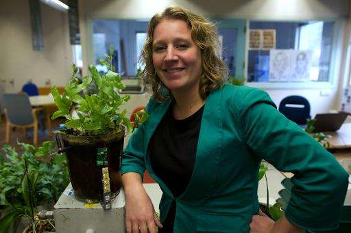 Dutch scientist Marjolein Helder, co-founder of Plant-e, which makes products that harvest energy from living plants, poses for 