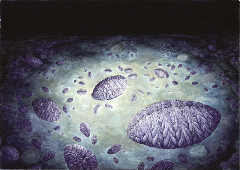 Earliest evidence of reproduction in a complex organism