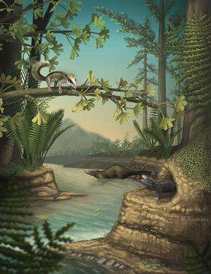 Earliest-known arboreal and subterranean ancestral mammals discovered