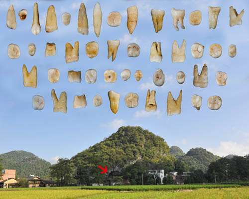 Earliest modern humans in Southern China recast history of early human migration