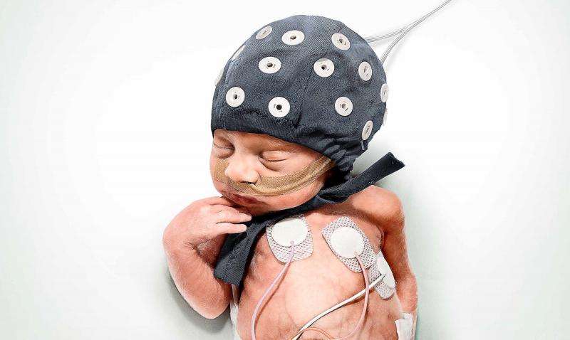 Earthquakes prove to be an unexpected help in interpreting the brain activity of very premature babies