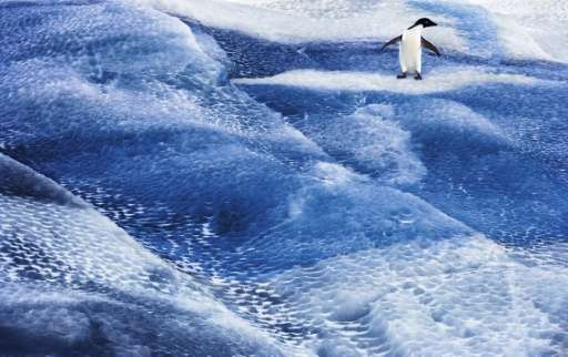 Efforts to create marine sanctuaries in Antarctica have been shot down five times at annual Commission for the Conservation of A