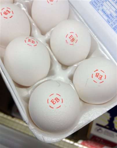 Egg, turkey meat prices begin to rise as bird flu spreads
