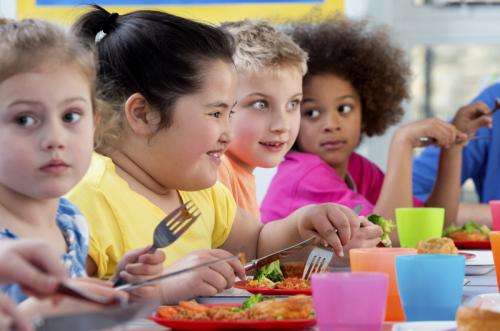 Elevated childhood weight may increase  susceptibility to eating disorders