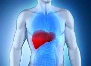 Elevated liver enzymes common in severe anorexia nervosa