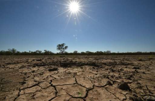 El Nino, a global weather pattern that periodically wreaks havoc, is expected to last until early 2016, leaving some parts of th