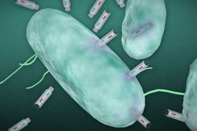 Engineered particles produce toxins deadly to targeted bacteria