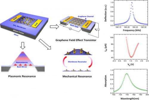 Engineers develop graphene-based biosensor that works in three ways at once
