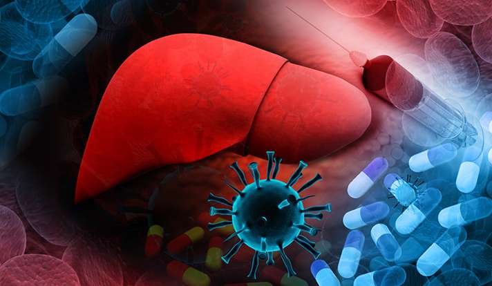 Enhanced treatment for hepatitis C could cut prevalence by 80%