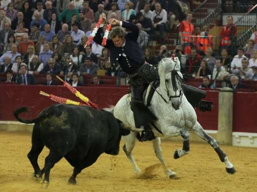 EU lawmakers have demanded an end to subsidies for farmers raising bulls destined for fights like this one featuring Spain's Fer