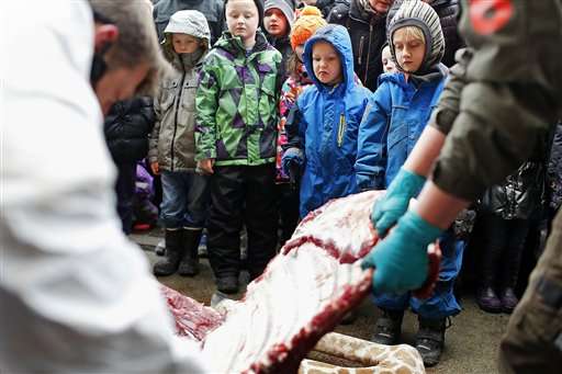 European body puzzled by uproar over Danish zoo dissection