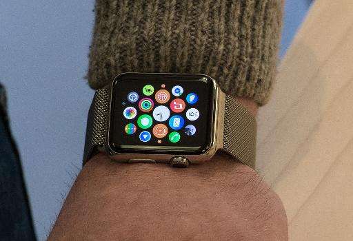 Experts warn that Apple Watch users do not want to be constantly bothered with alerts