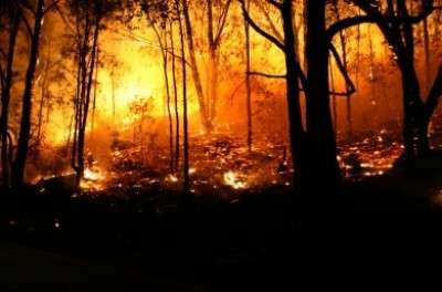 Exposure to bushfire smoke increases risk of cardiac arrest in men over 35