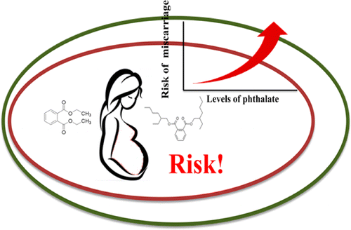 Exposure to phthalates could be linked to pregnancy loss