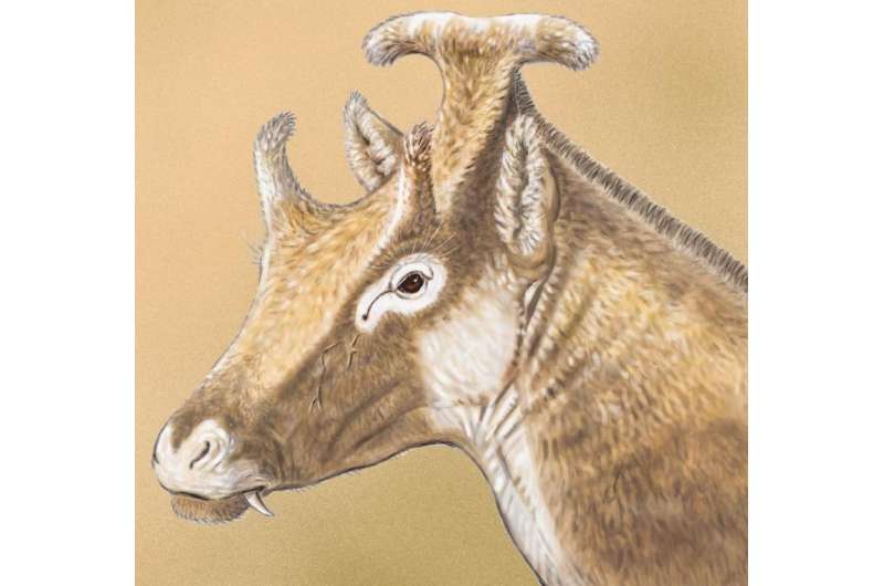 Extinct 3-horned palaeomerycid ruminant found in Spain