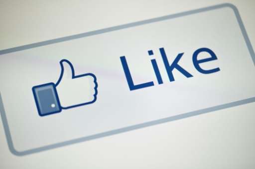 Facebook, pressed for years by users to add a &quot;dislike&quot; button, says it is working on the feature and will be testing 