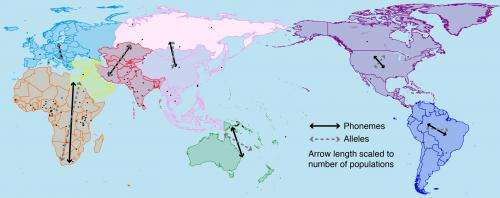 Features of language show a strong link to the geographic dispersal of human populations