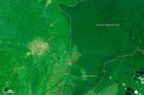 Felling of tropical trees has soared, satellite shows, not slowed as UN study found