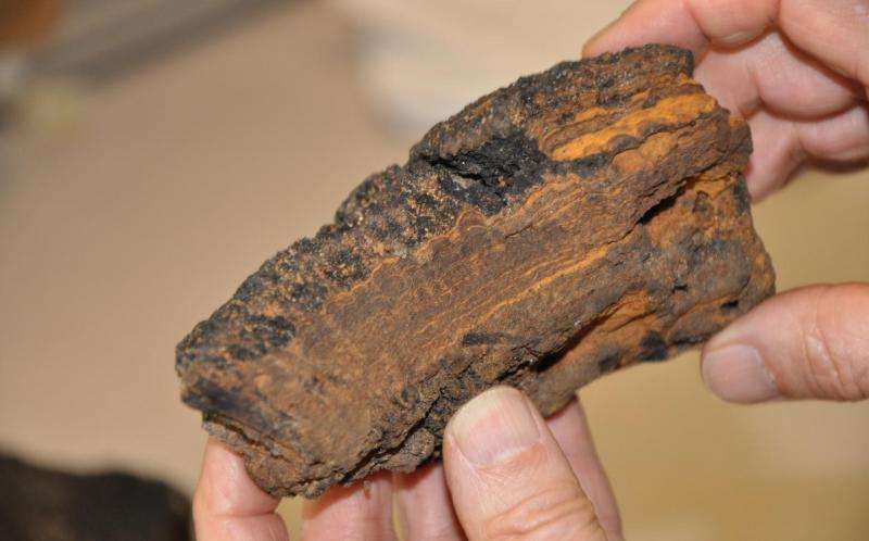 Ferromanganese crusts record past climates