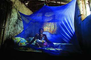 Fighting malaria is going to take more than just nets