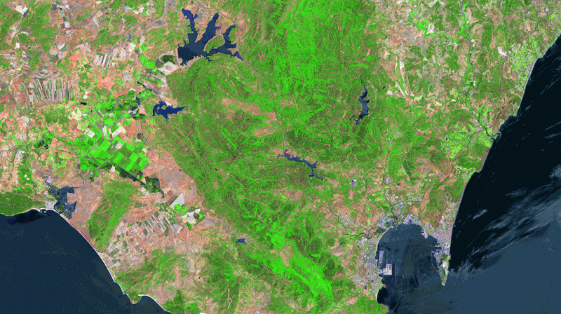 First applications from Sentinel-2A