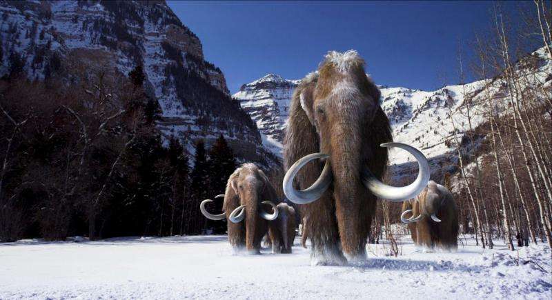 First comprehensive analysis of the woolly mammoth genome completed