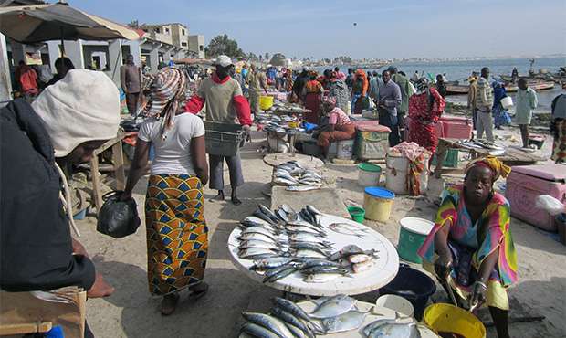 Fishermen, communities need more than healthy fish stocks