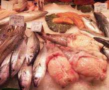 ‘Fish fraud’ across Europe in decline, study shows