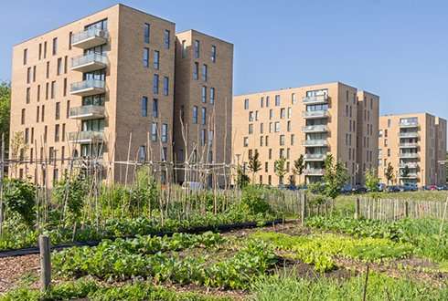 Five business models for urban farming