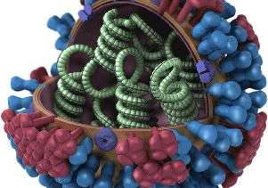 Five intriguing facts about viruses that cause measles, Ebola and other scourges