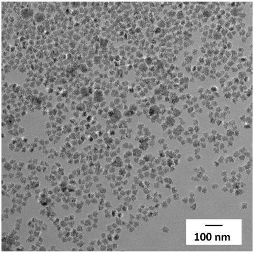 Flower-like magnetic nanoparticles target difficult tumors