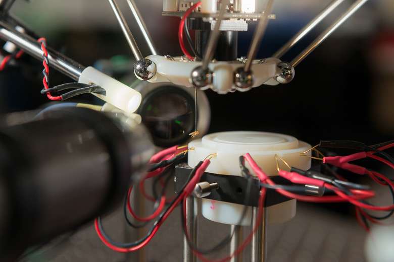 Fly-catching robot expands the scope of biomedical research that can be carried out