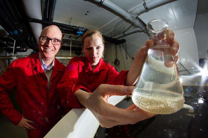 Food factory for baby fish is first of its kind