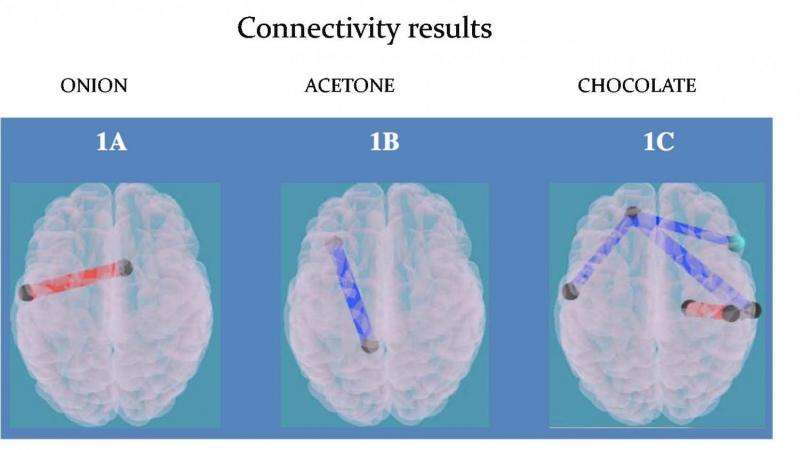 Food odors activate impulse area of the brain in obese children