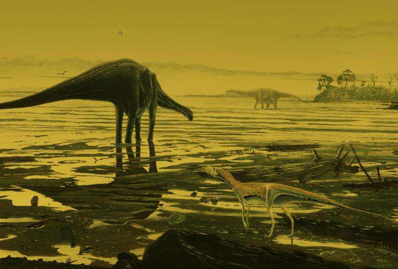 Fossil dinosaur tracks give insight into lives of prehistoric giants