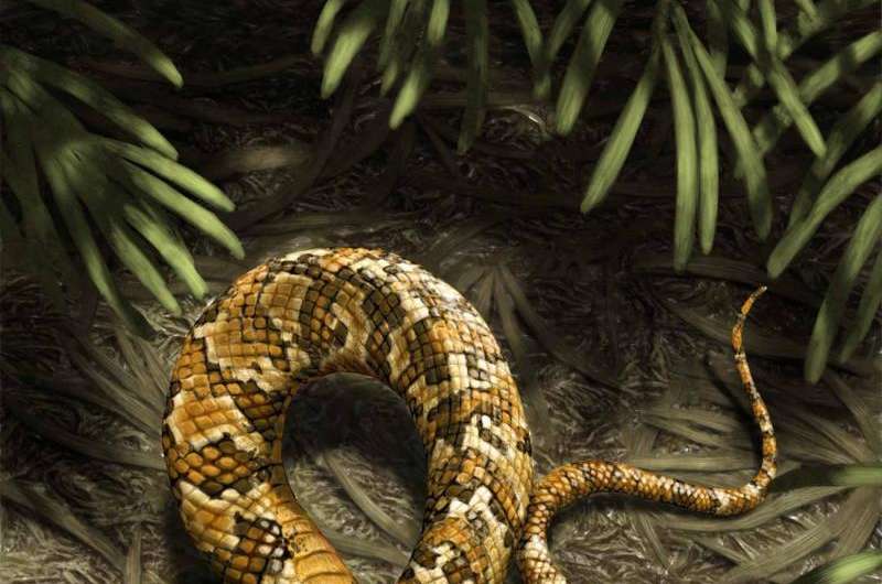 Four-legged fossil suggests snakes evolved from burrowing ancestors