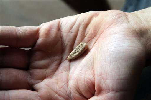 French archaeology students find 560,000-year-old tooth