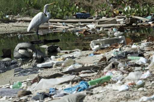 Garbage is seen on the Guanabara Bay, in Rio de Janeiro, Brazil, on June 10, 2015