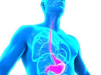 Gene analysis could allow the risk determination for esophageal cancer