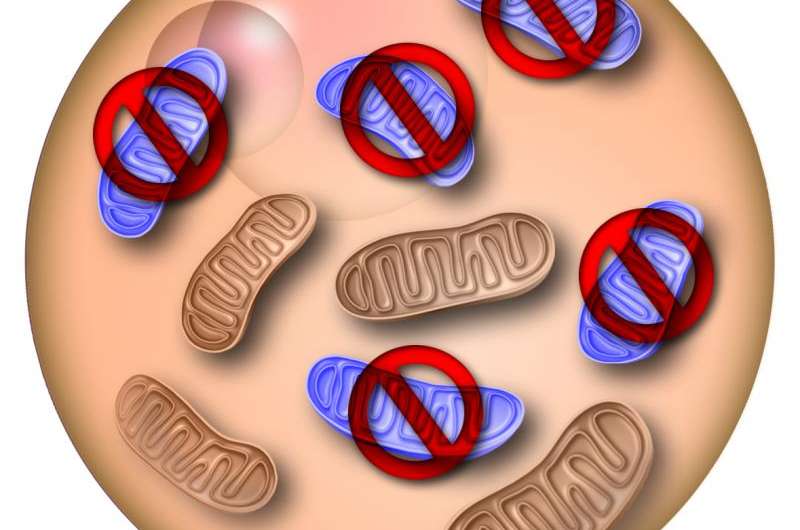 Gene-editing technique offers hope for hereditary diseases