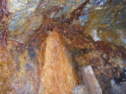 Geomicrobiologists show how microbial fossils resist the conditions of rock formation