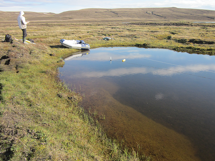 GHG emissions from Canadian Arctic aquatic systems dated for the first time