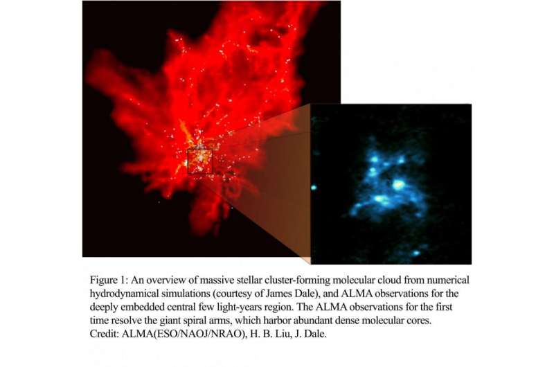 Giant spiraling molecular gas arms as cradles of dense, massive molecular cores
