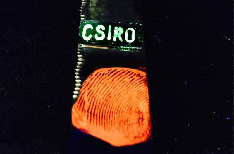 Glowing fingerprints to fight crime