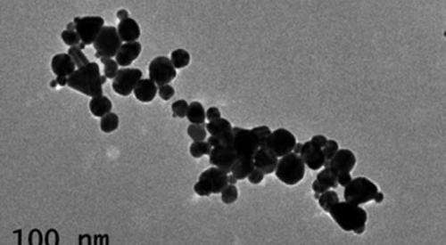 Gold nanoparticles show promise for early detection of heart attacks