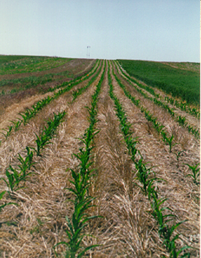 Great Plains agricultural greenhouse gas emissions could be eliminated