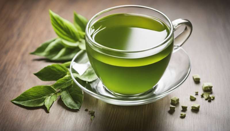 Green tea as a therapeutic delivery system for anticancer drugs